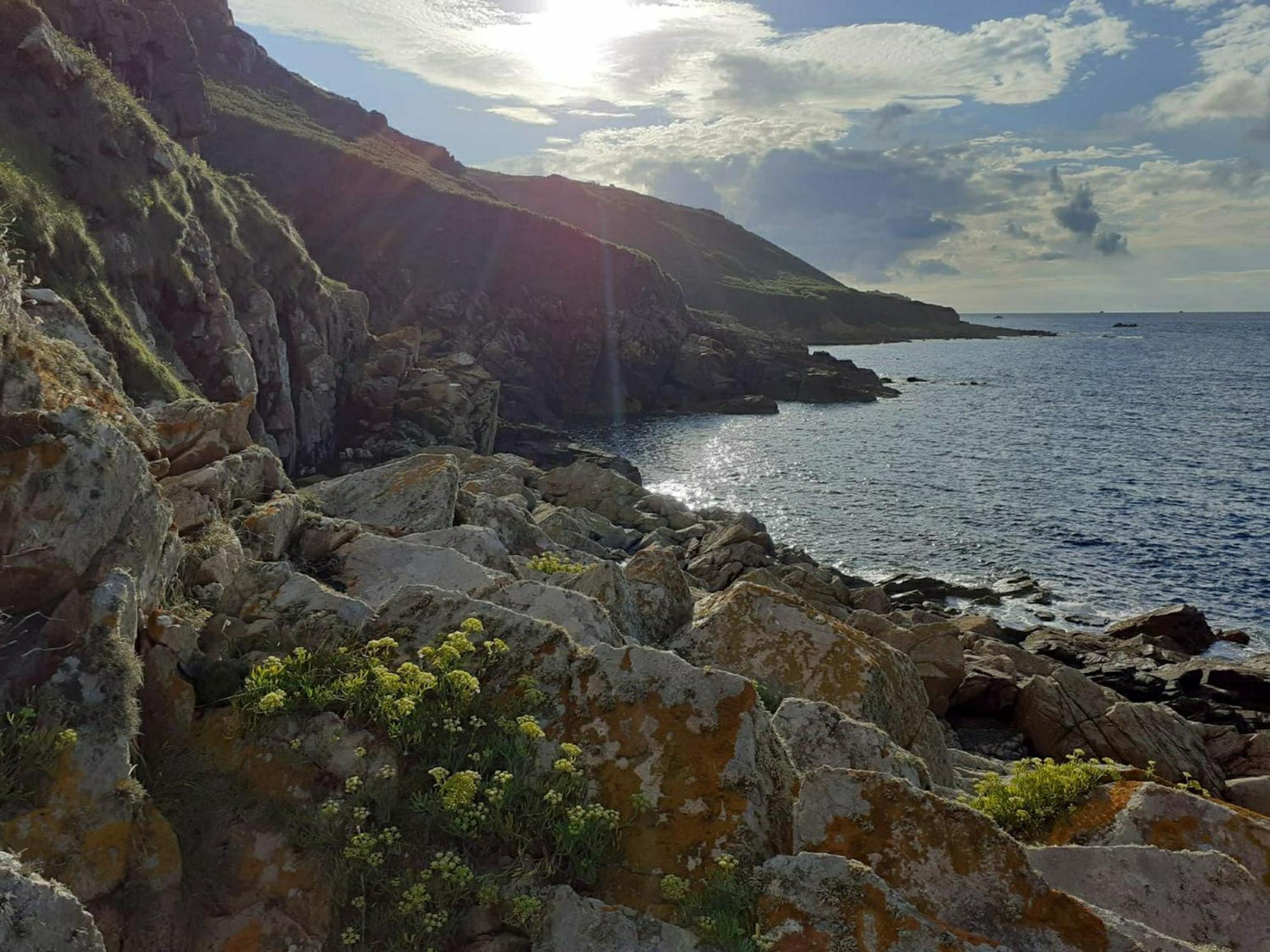 Maison Cosy Vue Mer A Guimaec Εξωτερικό φωτογραφία