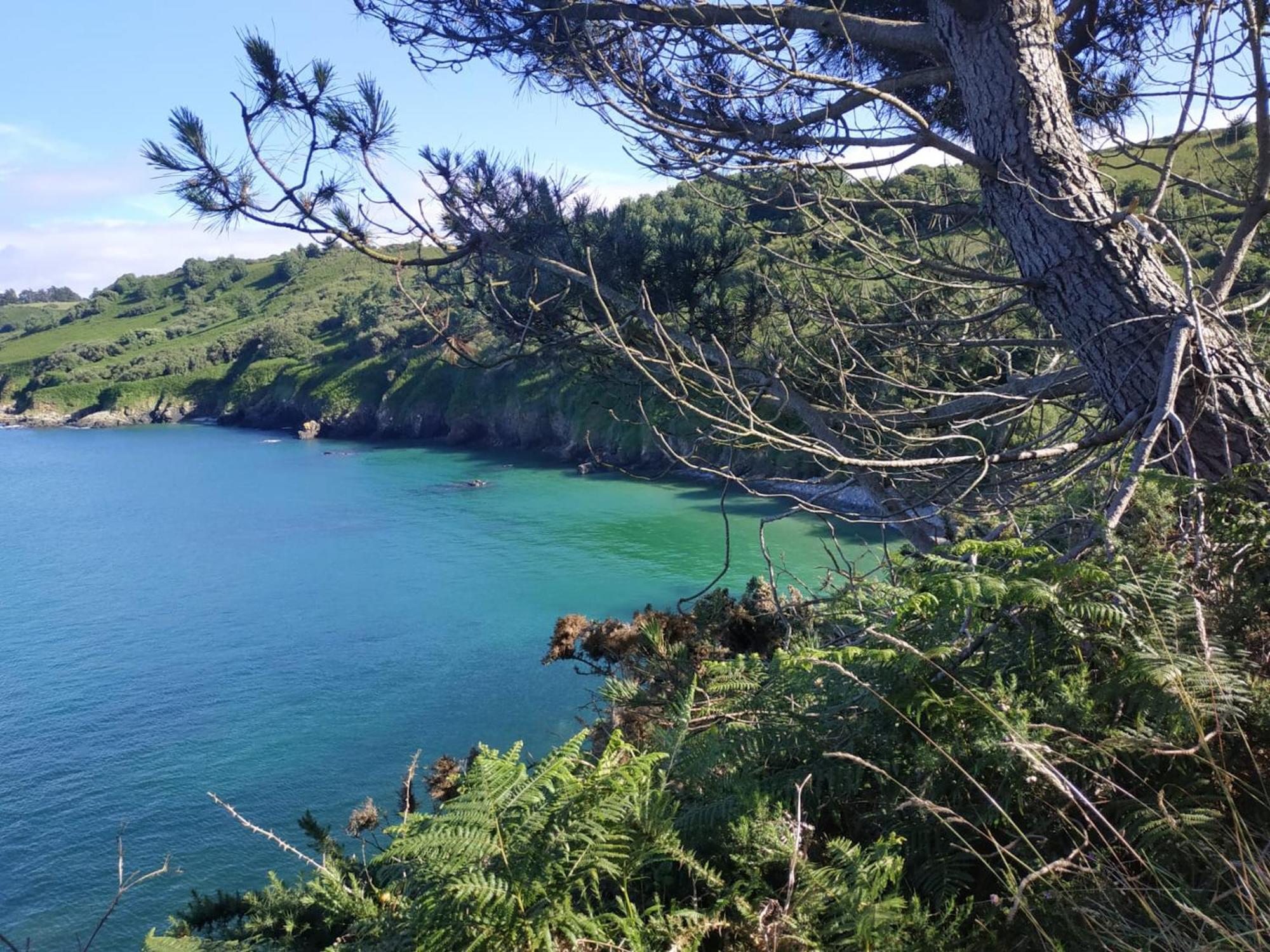 Maison Cosy Vue Mer A Guimaec Εξωτερικό φωτογραφία